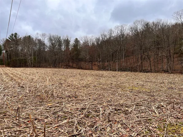 00 state route 97 Route, Cochecton, NY 12726