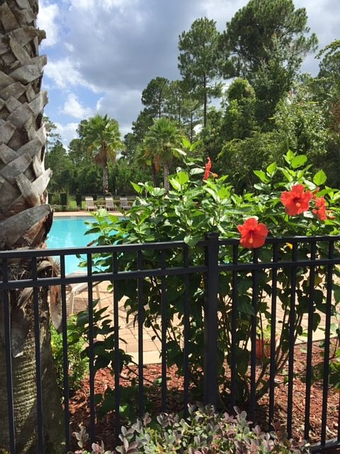 Looking in to community pool