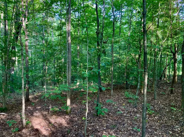 0 Pleasant Hill Rd Lot 4, Dover, TN 37058