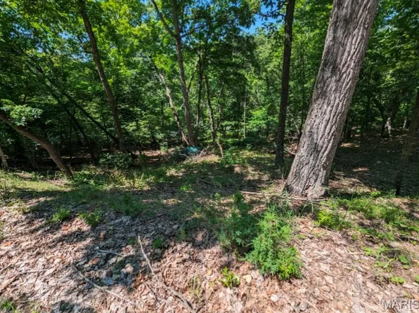 23 Denby Ln, Marthasville, MO 63357