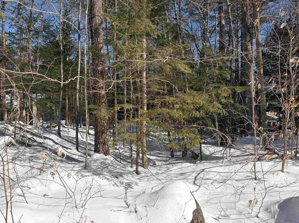 10-5-107 Rumford Drive, Webster, NH 03303