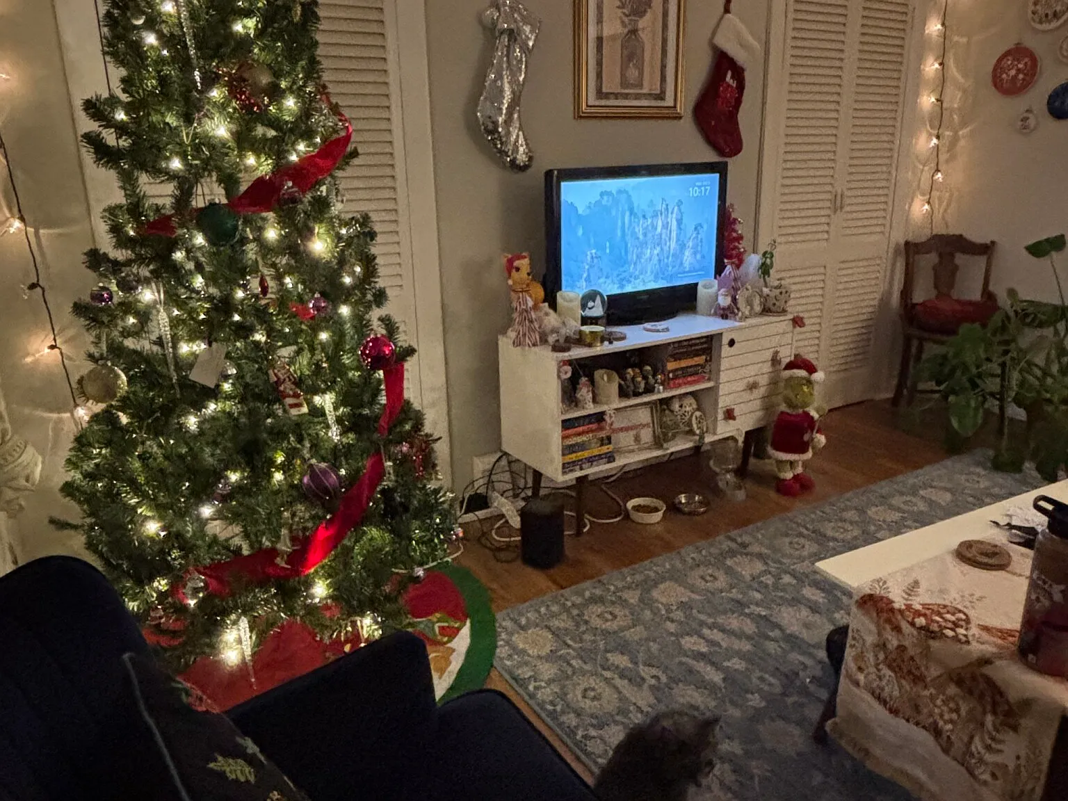 2 bed, 1.0 bath, $2,590 — Photo 4