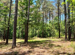Spring Creek Rd, Flora, MS 39071