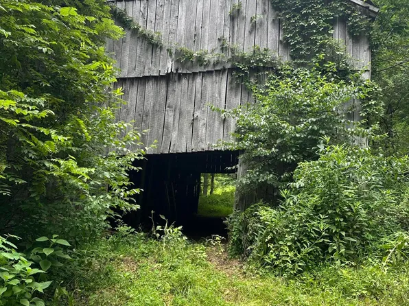 0 Black Sheep Holw, Sneedville, TN 37869