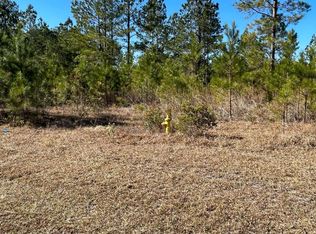 0 Landing Ln, Waynesville, GA 31566