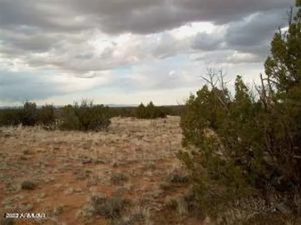 469 Chevelon Canyon Ranch -- #469, Heber, AZ 85928