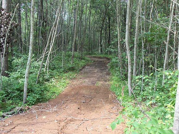 4th image of Lot 1 Birch Tree Trail
