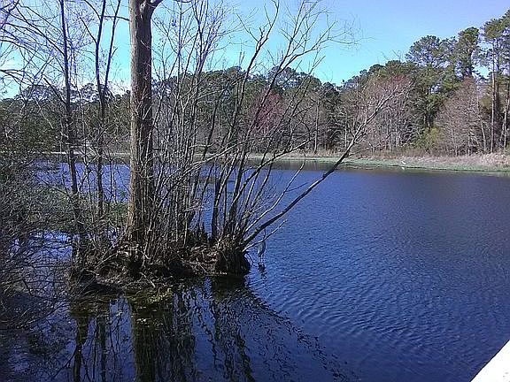 Calabash River from Dock