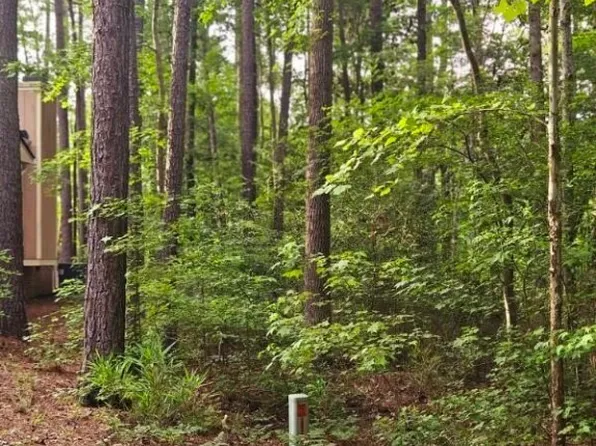 668 Wren Ln, Vass, NC 28394