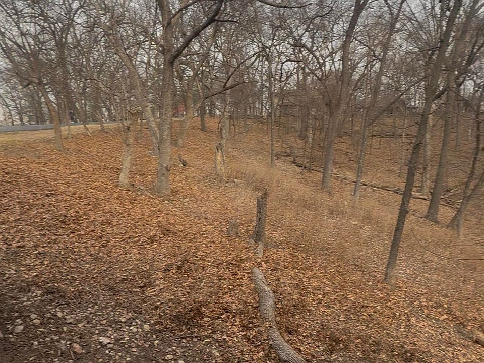 2nd image of Osprey Rd