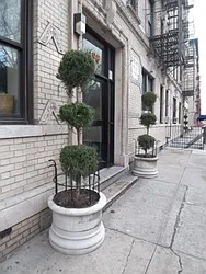 The Matthew at 192 Bradhurst Avenue in Central Harlem