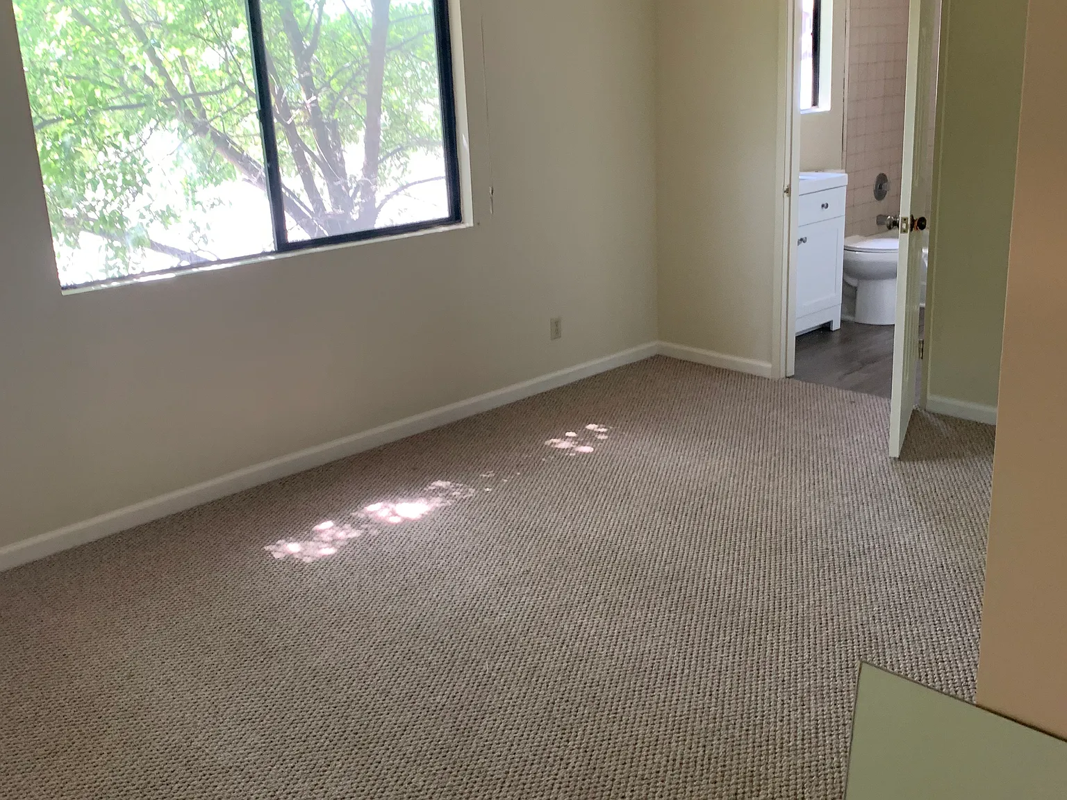 905 W Walnut Ave — Photo 4