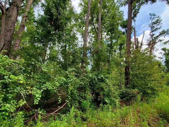 14th Ter, Live Oak, FL 32060