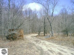 7075 Strawberry Ln, Elmira, MI 49730