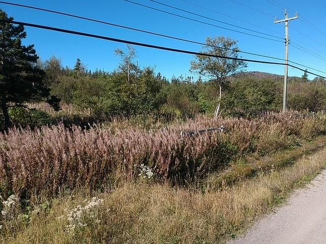 1st image of 174 Pond Road