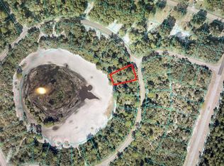 58 Fisher Loop #21, Ocklawaha, FL 32179