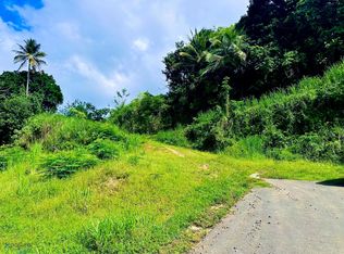 4 Calle Tito Torres, Bayamon, PR 00956