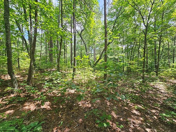 5th image of 0 N Harris Creek Dr