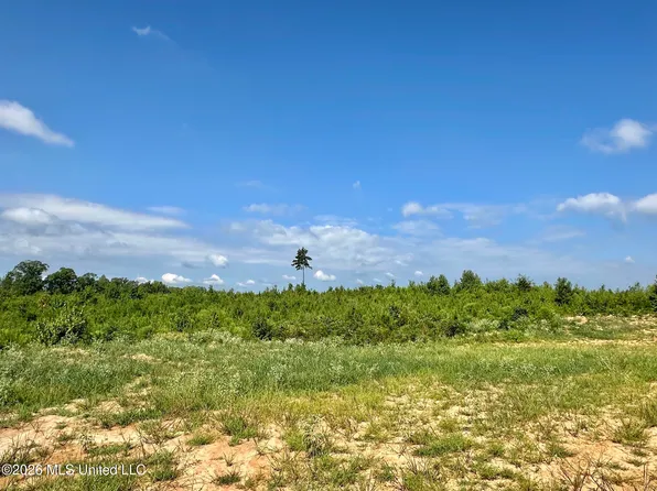 1 Will Womack Rd, Mantee, MS 39751