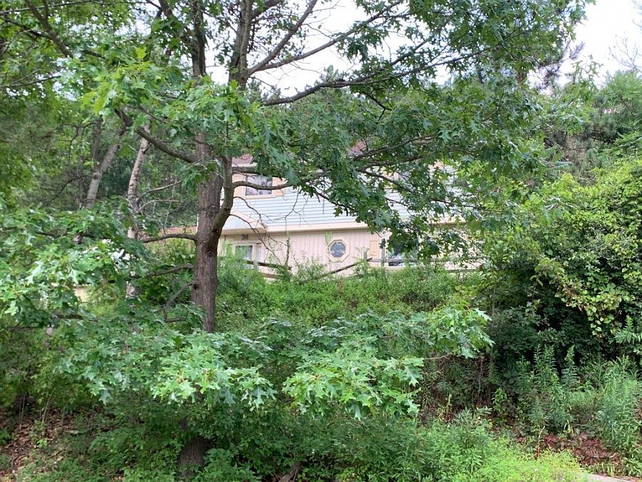 1st image of 36 Ivy Ln