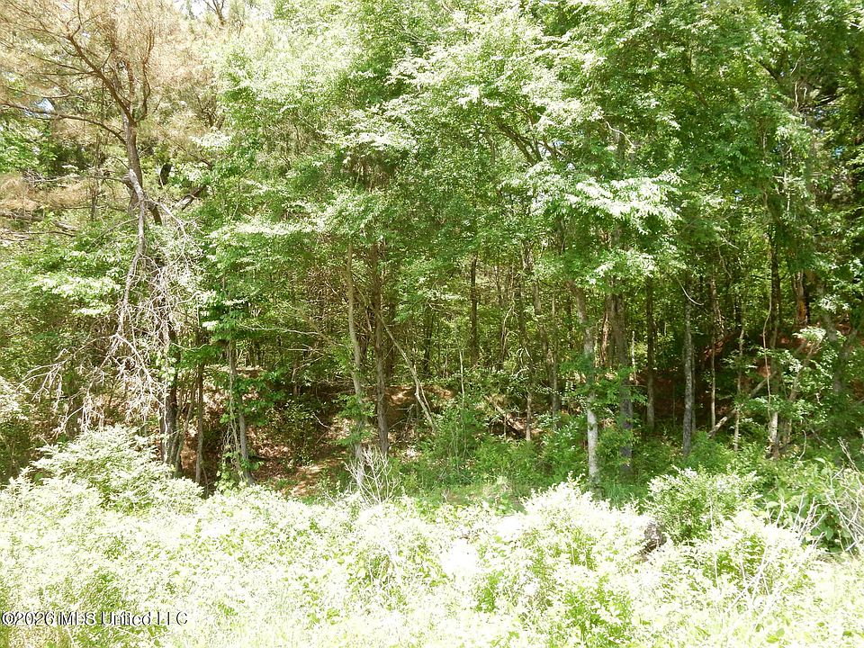 1st image of 3 Looxahoma Tyro Rd Lot 3