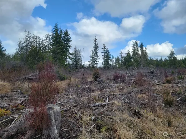 0 Ocean Beach Road, Hoquiam, WA 98550