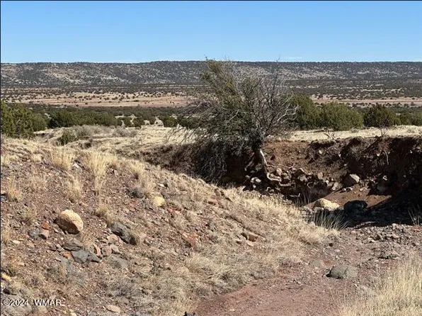 LOT 61 Pinon Valley Rnch Lot 61, Concho, AZ 85924