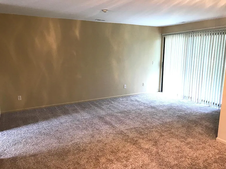 42825 Lilley Pointe Dr — Photo 10