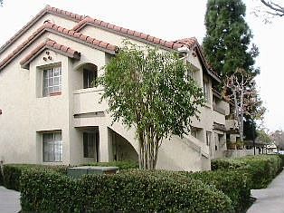 Side View