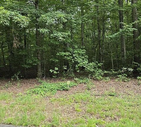 3rd image of 140 Lower Brow Rd Lot 140