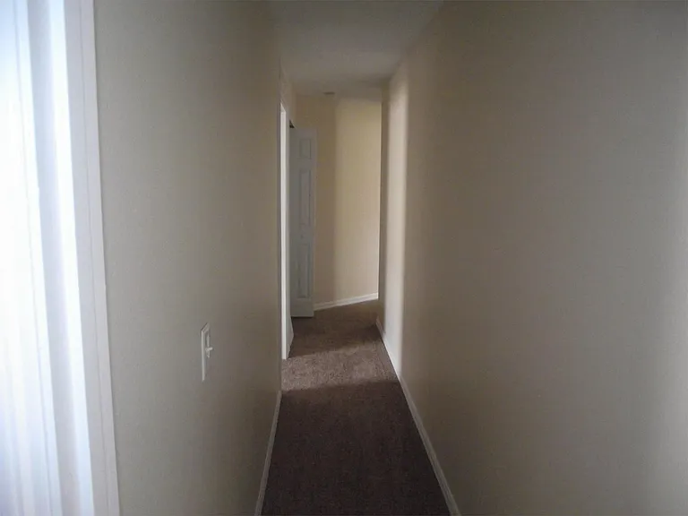 255 Lobelia Dr — Photo 11