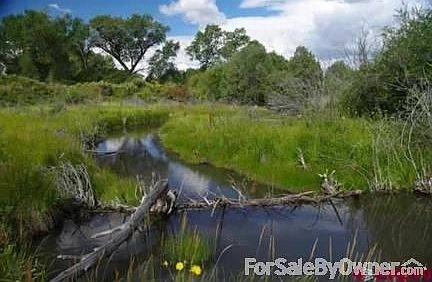View of Mountains
						:
						view from back deck