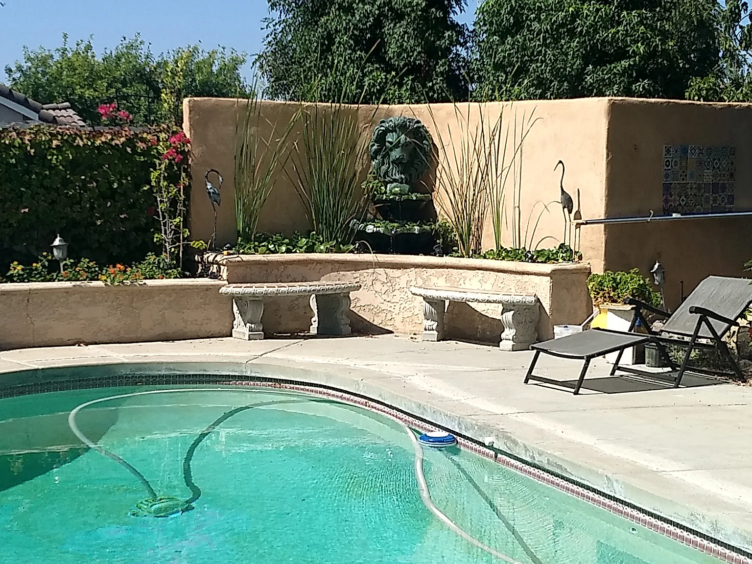1 bed, 475 sqft, $1,600 — Photo 2