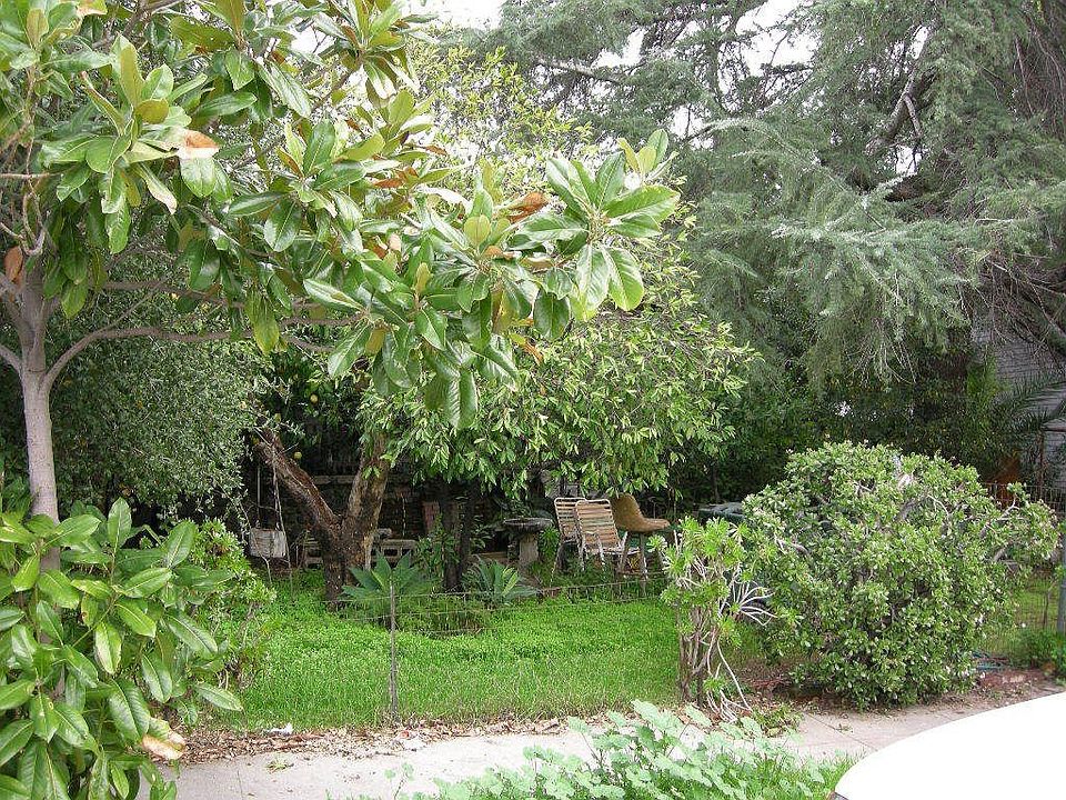 Front yard