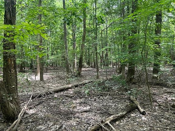 3rd image of 0 S Side State Rd #256
