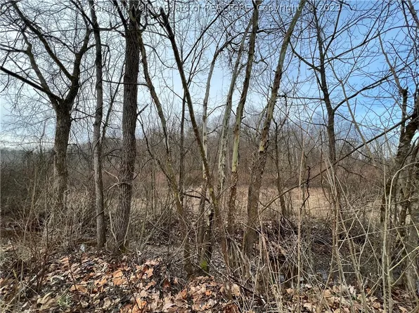 Coleman Creek Rd, Fraziers Bottom, WV 25082
