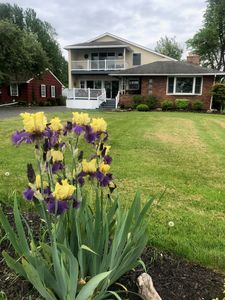 4630 E River Rd, Grand Island, NY, 14072