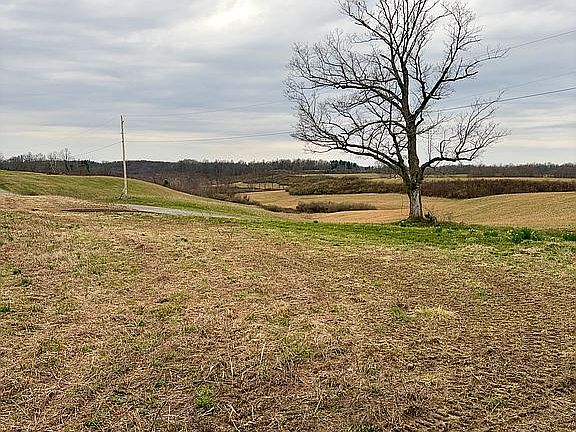 3rd image of 38040 Buck Run Rd