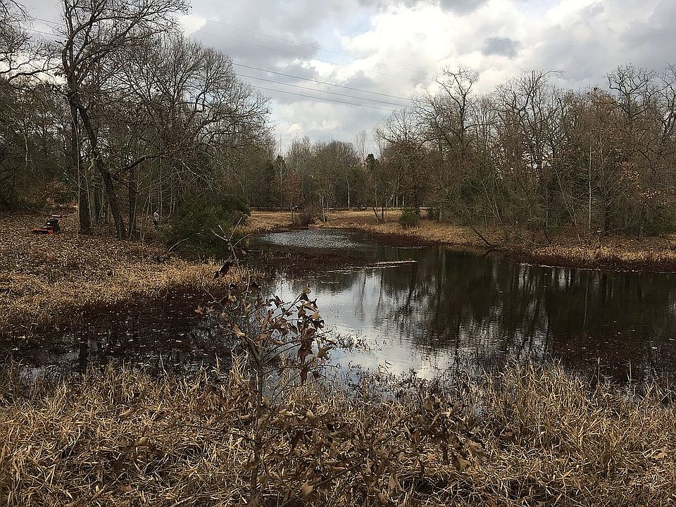Pond