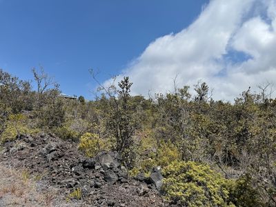 Plumeria Ln Lot 1, Captain Cook, HI, 96704