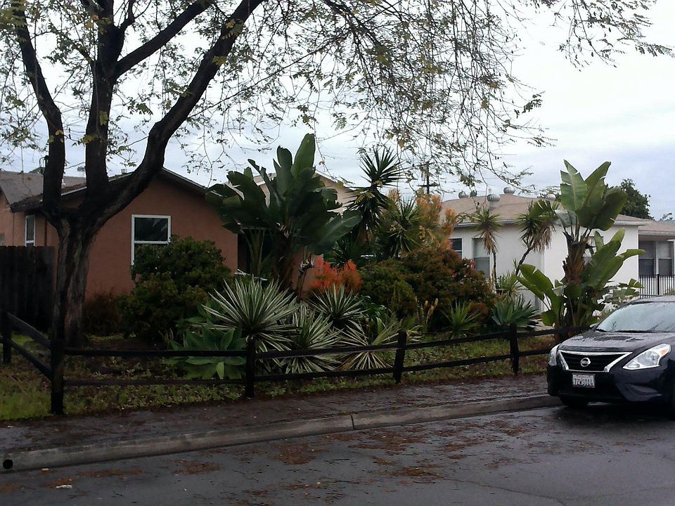 Single detached home with drought resistant private yard