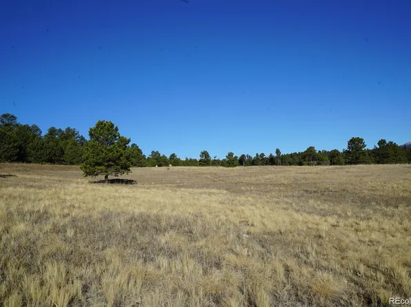 10 Bulldogger Drive, Bailey, CO 80421