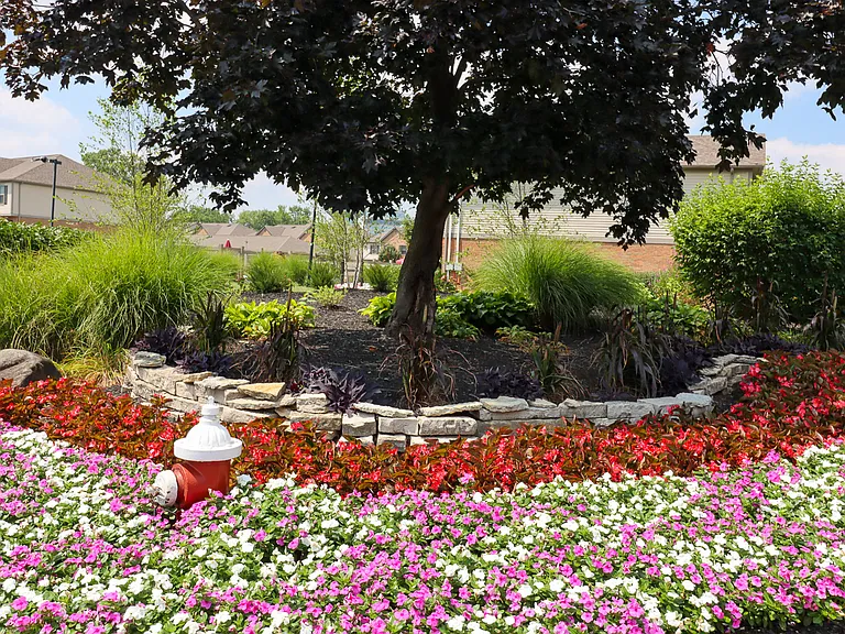 Rosebrook Village — Photo 22