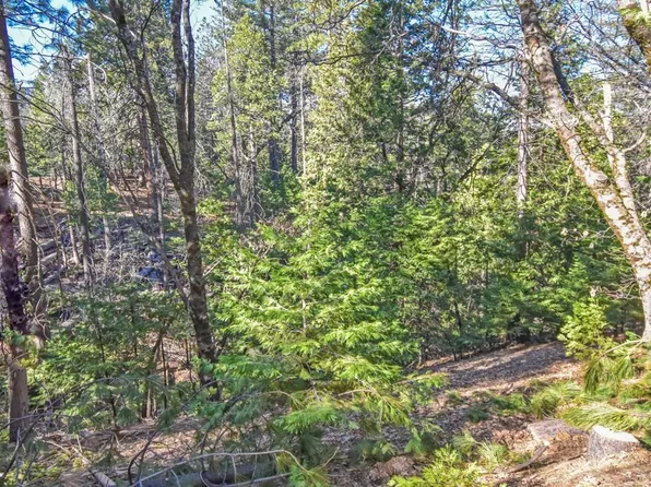 24184 Awahanee Rd, Sonora, CA 95370