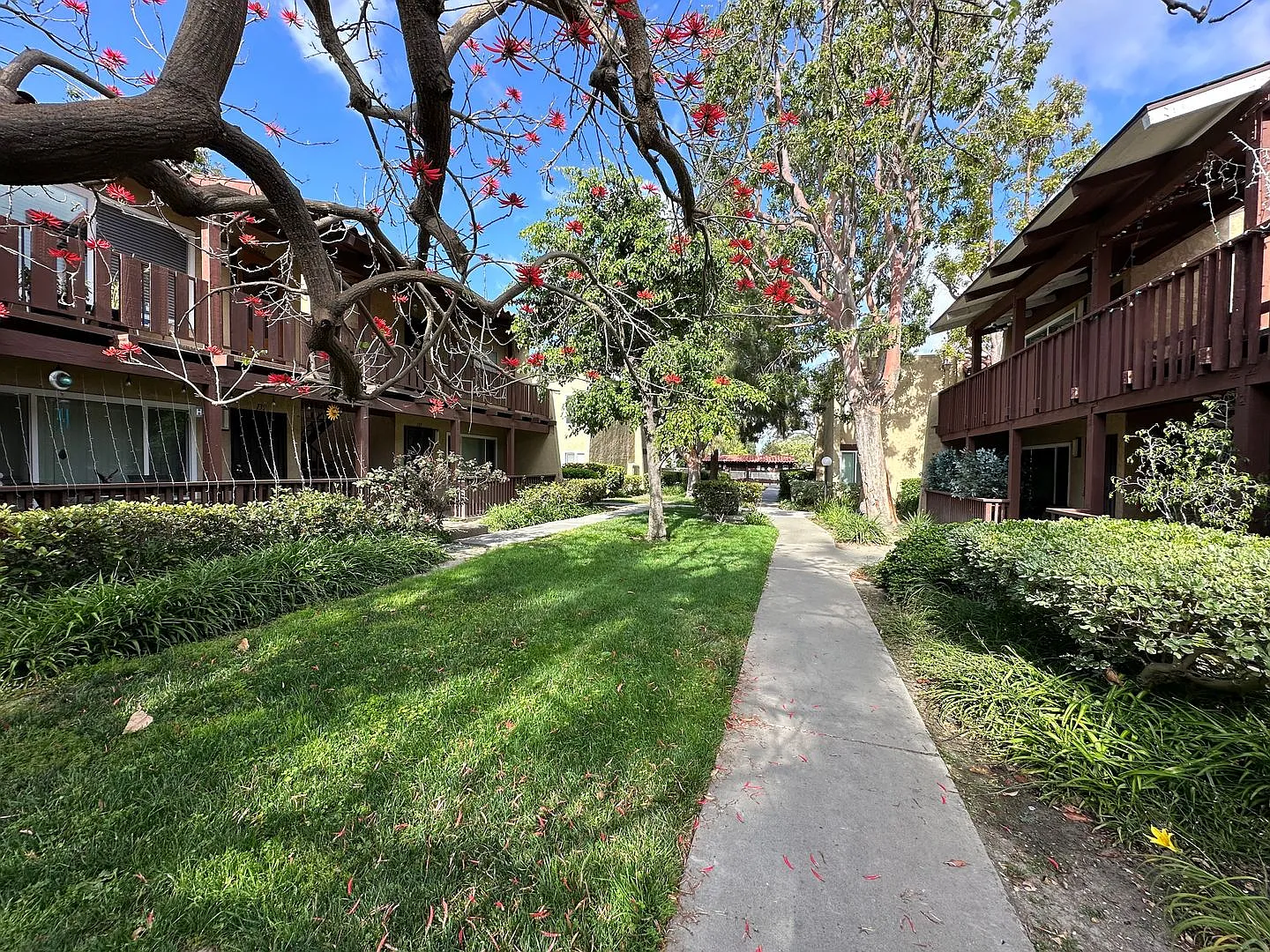 Pet Friendly! !Amazing 1 Bedroom Apartment In Santa Ana! — Photo 1