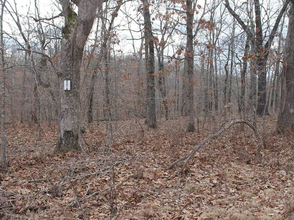 Ferro Ln, Edwards, MO 65326