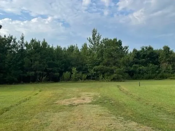 0 Healing Springs Ct, Timmonsville, SC 29161