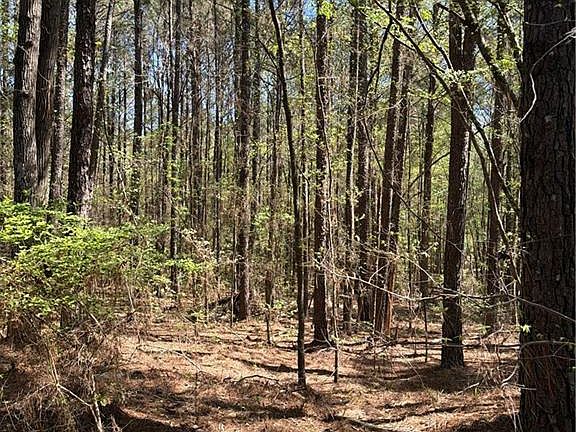 2nd image of N/a Old Union Point Rd