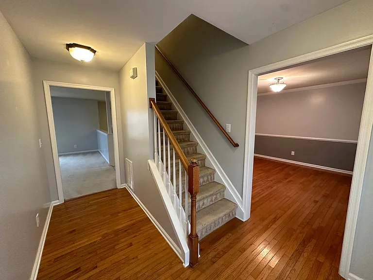 303 Princess Anne Cir — Photo 17