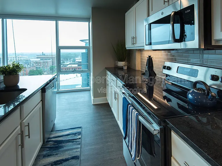 155 W Michigan Ave #905 — Photo 3
